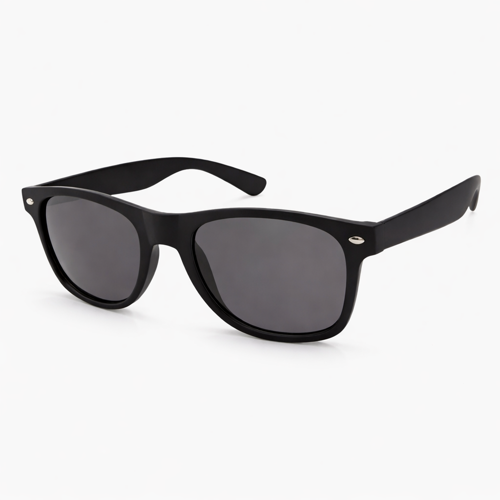 Palisades Sunglasses Black